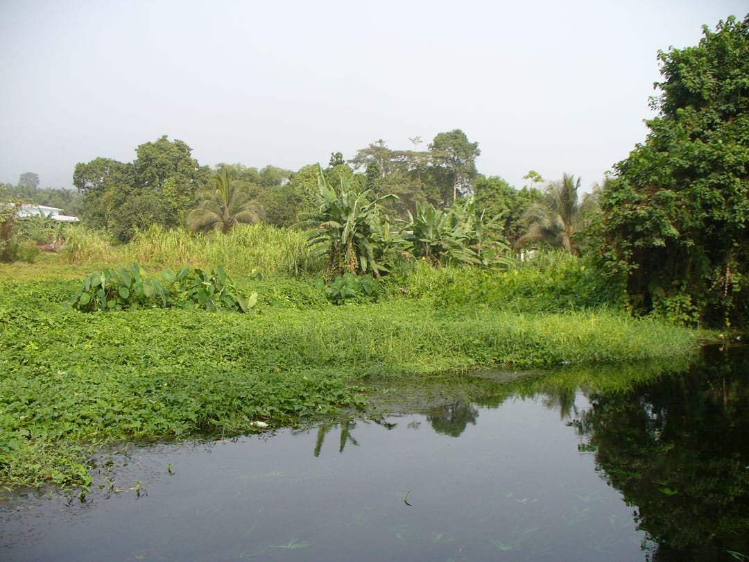 Cameroon lagoon